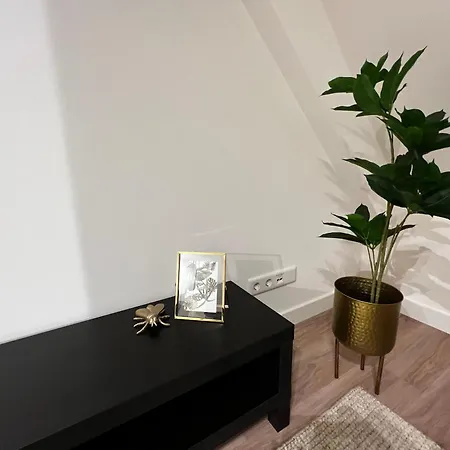 Apartmán New Desgner-home Brabant Full Equiped